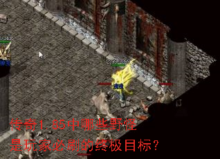 ����1.85����ЩҰ������ұ�ˢ���ռ�Ŀ�ꣿ