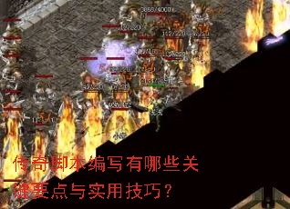 ����ű���д����Щ�ؼ�Ҫ����ʵ�ü��ɣ�