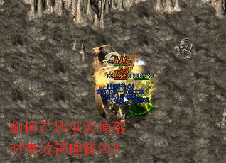 ����ڵ���Ȯ����ʱ��Ч����������