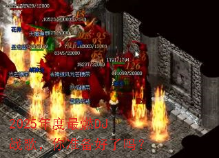 2025�����ȼDJս�裬��׼��������