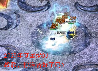 2025�����ȼDJս�裬��׼��������