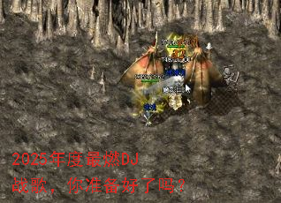 2025�����ȼDJս�裬��׼��������