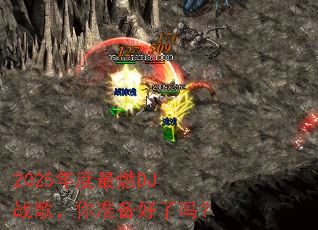 2025�����ȼDJս�裬��׼��������