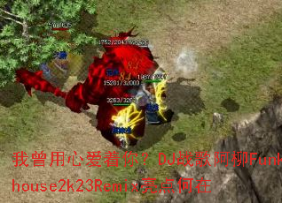 �������İ����㣿DJս�谢��Funkyhouse2k23Remix�������