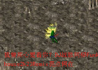 �������İ����㣿DJս�谢��Funkyhouse2k23Remix�������