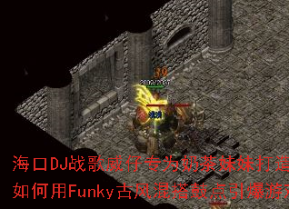 ����DJս������רΪ�̲����ô������Ѫ���棬�����Funky�ŷ���ĵ�������Ϸս����