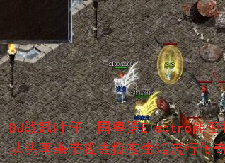 DJս��Ҷ�У�������Electro�ܷ�����ͷ��������ȥ��ҹ�������д��洫����Ϸս��