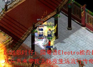 DJս��Ҷ�У�������Electro�ܷ�����ͷ��������ȥ��ҹ�������д��洫����Ϸս��