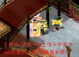 ������-û��һ�ݹ���������(DJս�������)�����ж�ȼ��