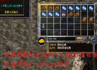 ͻȻ������ı�����DJս���㲼�ص�������VinaHouse����