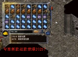 �����¸�ս��ȼ��2025��