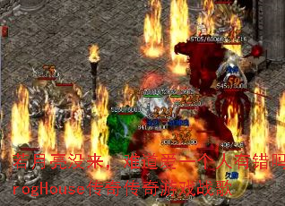 ������û�����ѵ���һ�����д���ProgHouse���洫����Ϸս��