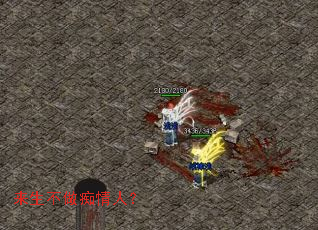 来生不做痴情人? 来生不做痴情人?