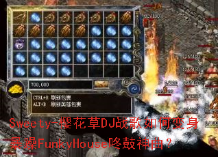 Sweety-ӣ����DJս����α�������FunkyHouse�˹�������