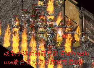 ս��С�������α������ProgHouse�ܷ��Ϊ�����Ϸר��BGM