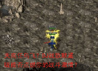 �������ɣ�DJս��Ĭ�����ܷ��ȼ���ս�����飿