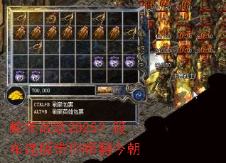 ����ս��2025���㲼��������˷���