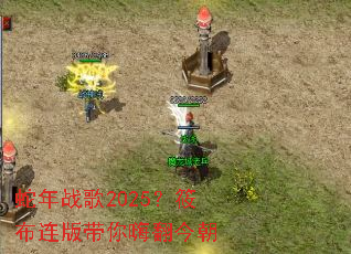 ����ս��2025���㲼��������˷���