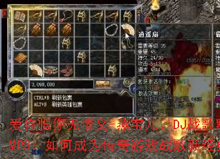 爱你恨你无情义-燕宝儿、DJ战歌默涵.MP3:如何成为传奇游戏战歌新经典? 爱你恨你无情义-燕宝儿、DJ战歌默涵.MP3:如何成为传奇游戏战歌新经典?