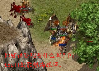 ��֪������Ҫʲô��Pitbullս��ȼ��ս����