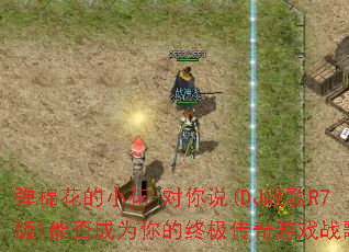 ���޻���С��-����˵(DJս��R7��)�ܷ��Ϊ����ռ�������Ϸս�裿