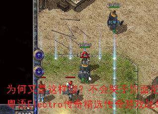 Ϊ�������������������������ǰDJս��Ҷ��ȫ����Electro���澫ѡ������Ϸս������