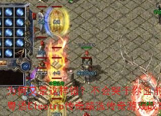 Ϊ�������������������������ǰDJս��Ҷ��ȫ����Electro���澫ѡ������Ϸս������