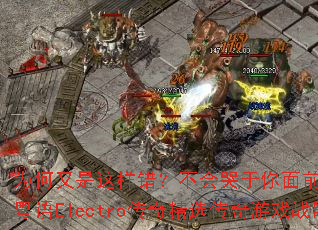 Ϊ�������������������������ǰDJս��Ҷ��ȫ����Electro���澫ѡ������Ϸս������