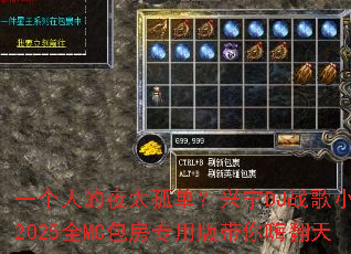 һ���˵�ҹ̫�µ�������DJս��Сά2025ȫMC����ר�ð�����˷���