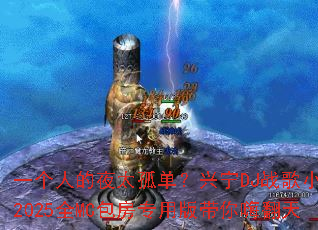 һ���˵�ҹ̫�µ�������DJս��Сά2025ȫMC����ר�ð�����˷���