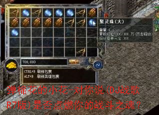 ���޻���С��-����˵(DJս��R7��)�Ƿ��ȼ���ս��֮�ꣿ