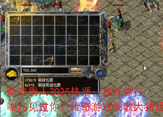 ��������2025�Ȳ����Һ������Ķ������㣿������Ϸս������