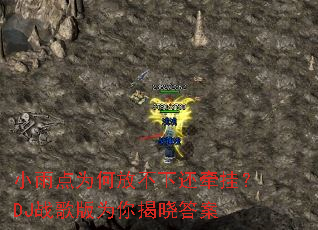 С���Ϊ�ηŲ��»�ǣ�ң�DJս���Ϊ�������