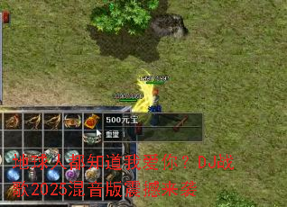 �����˶�֪���Ұ��㣿DJս��2025����������Ϯ