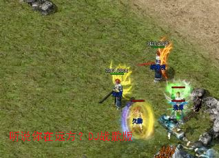 ��˵����Զ����DJս���