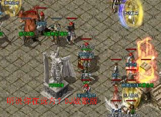 ��˵����Զ����DJս���