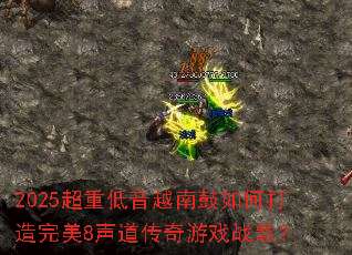 2025���ص���Խ�Ϲ���δ�������8����������Ϸս�裿