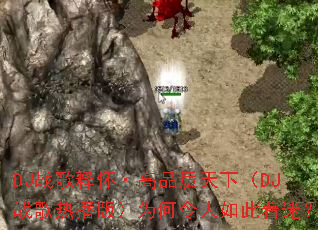 DJս���ͻ�����Ʒ�����£�DJս���Ȳ��棩Ϊ������������ԣ�