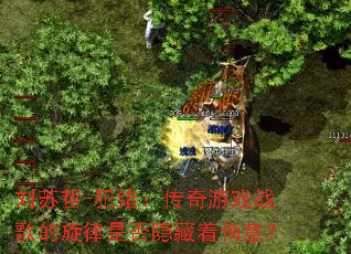 ������-������������Ϸս��������Ƿ������Ż��⣿