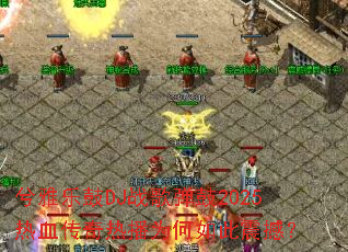 �����ֹ�DJս�赯��2025��Ѫ�����Ȳ�Ϊ������𺳣�