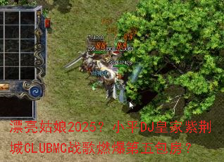 Ư������2025��СƽDJ�ʼ��Ͼ���CLUBMCս��ȼ�����������