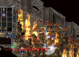 FunkyHouseս��������ȼ��