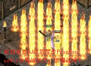 �����DJս������ProgHouseMix��ѩս��Ů��ȼ��ս����