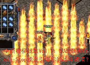 ȫ�¹���ս��Vol.1��DJս���Remix-Stop�ܷ��������ս�����飿