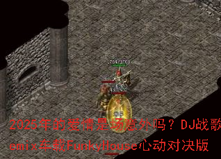 2025��İ����ǳ�������DJս�����Remix����FunkyHouse�Ķ��Ծ���