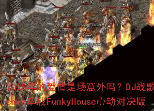 2025��İ����ǳ�������DJս�����Remix����FunkyHouse�Ķ��Ծ���