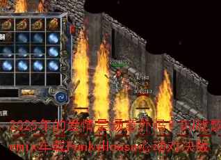 2025��İ����ǳ�������DJս�����Remix����FunkyHouse�Ķ��Ծ���