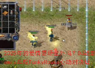 2025��İ����ǳ�������DJս�����Remix����FunkyHouse�Ķ��Ծ���