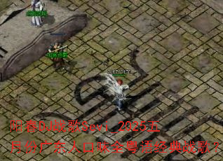 ����DJս��Sevi_2025���·ݹ㶫�˿�ζȫ���ﾭ��ս�裿