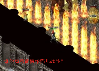 ˭�ļ���ܽ��è��ս����